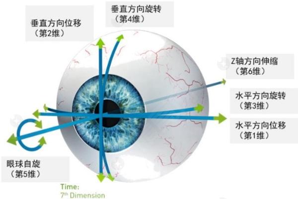 近视的眼球什么样