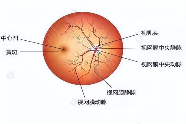 武汉近视眼手术医院排名