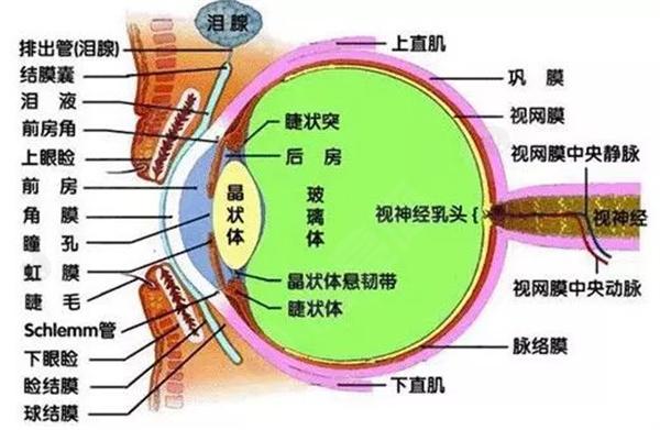 新的昆明老视手术多少钱贵不贵，昆明老视手术价格超实惠