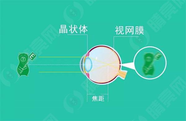 重庆市慧眼眼科价目表，慧眼眼科技术不错价格好