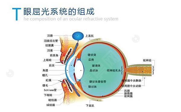 成都悦瞳眼科医院收费价格表