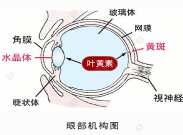 重庆LASIK半飞秒排名前8名单 爱成/新视界渝中/区爱尔技术牛口碑好