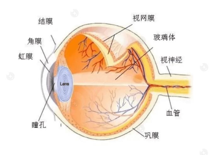 江苏无锡明昕眼科怎么样? 不仅医生技术靠谱,价格也实惠