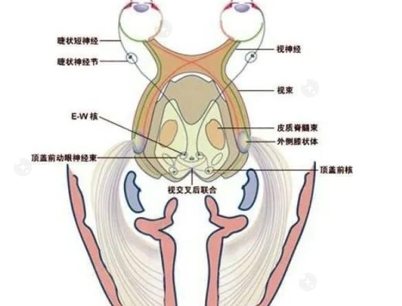 山东青岛鹿晰眼科怎么样? 看看去过的网友口碑就清楚了