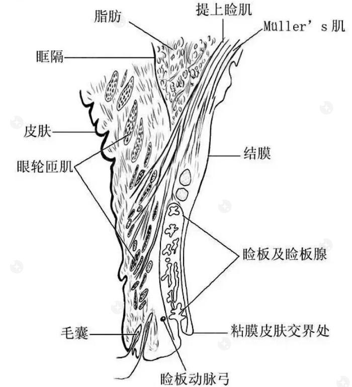 广州准分子激光医院哪家好 视百年/佰视佳/普瑞均在榜单