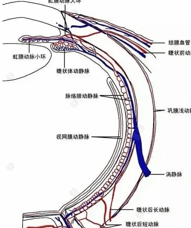 分享常州华厦谱瑞眼科眼科项目价格一览表 不仅医院实力强价格还美丽