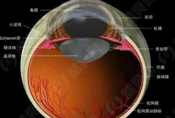 大连华厦眼科怎么样? 是正规眼科不坑人附价格地址