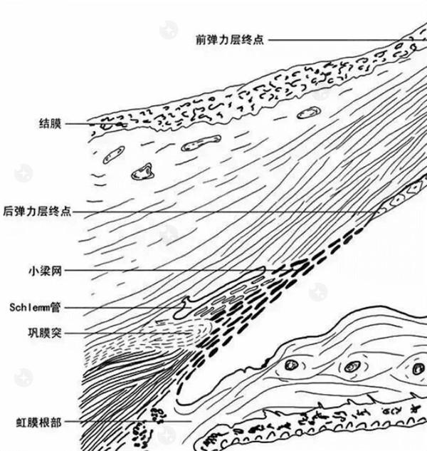 广州可调节晶体医院排名 广州口碑名气大的都在此名单