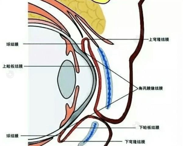 深圳半飞秒激光哪家医院正规靠谱？优选几家价格实惠口碑好的眼科